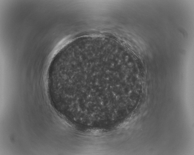 X0000114090295200911161043