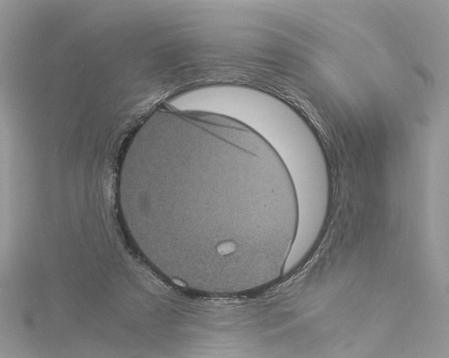X0000114090305200911161042