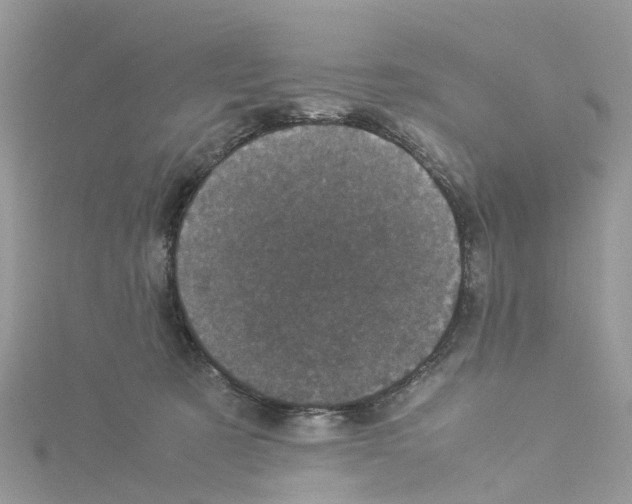X0000114090321200911161042