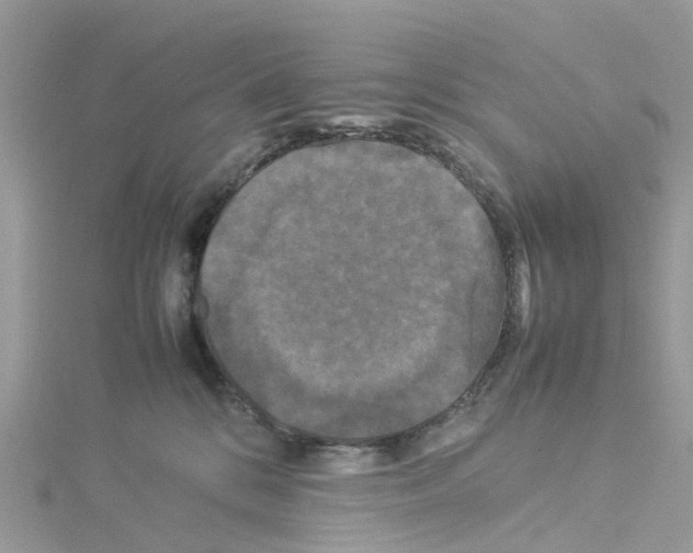 X0000114090328200911161042