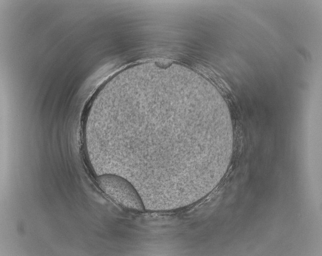 X0000114090338200911161041