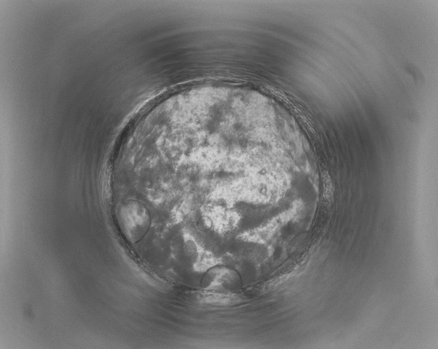 X0000114090347200911161042