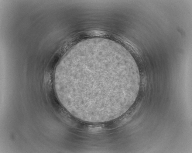 X0000114090373200911161042