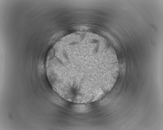 X0000114090381200911161042