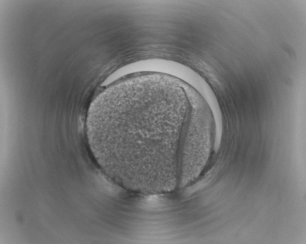 X0000114090382200911161042