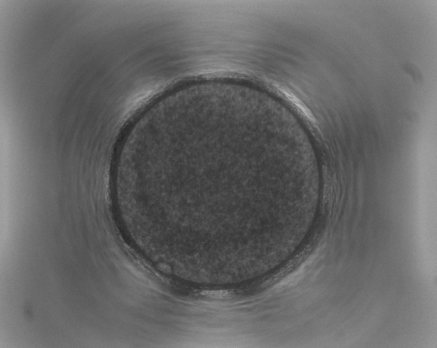 X0000114090391200911161041