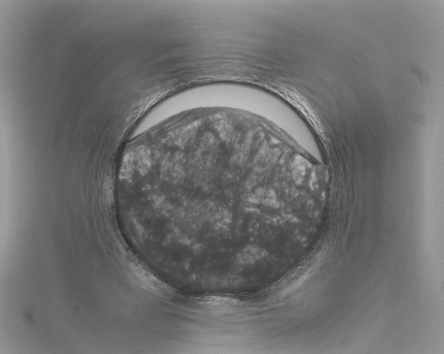 X0000114090393200911161041