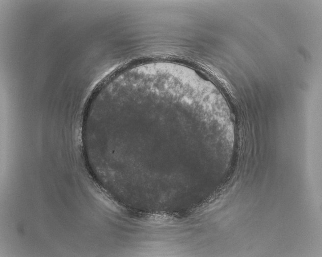 X0000114090399200911161041