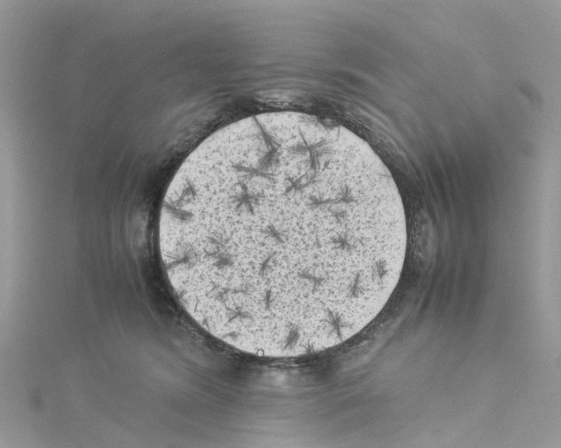 X0000114090420200911161041