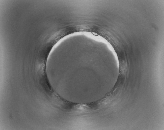 X0000114090427200911161041