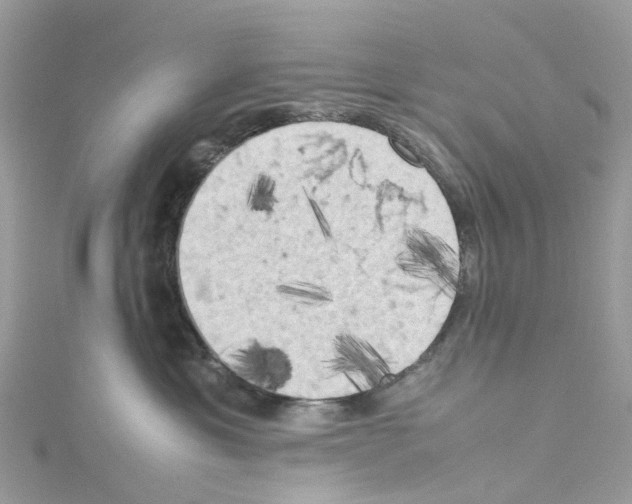 X0000114090429200911161041