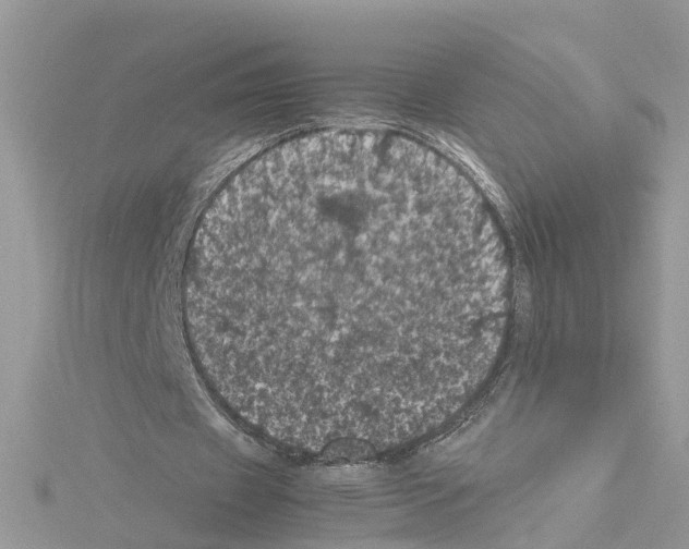 X0000114090433200911161040