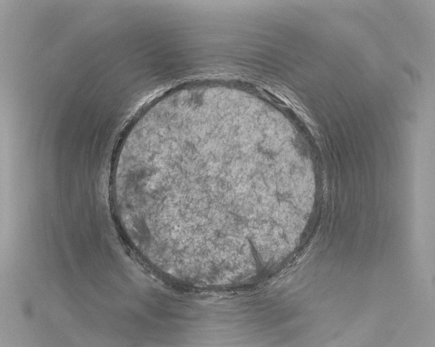 X0000114090434200911161040