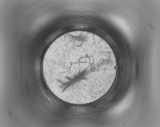 X0000114090435200911161040