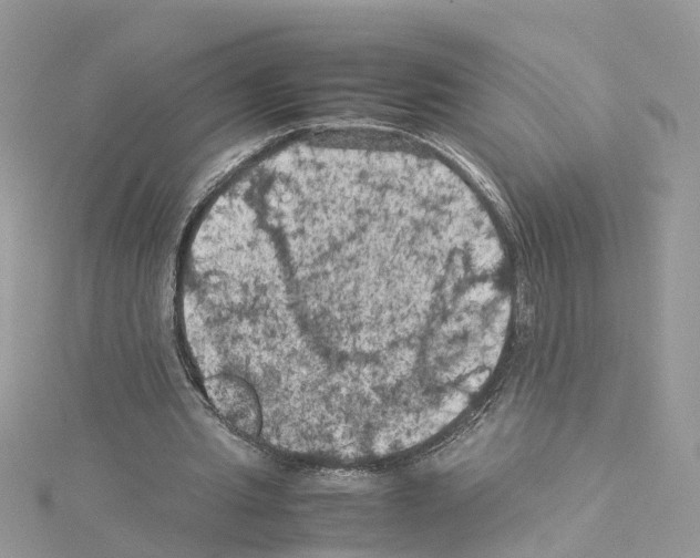 X0000114090437200911161040