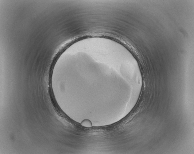 X0000114090438200911161040