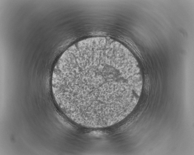 X0000114090441200911161040