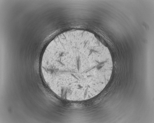 X0000114090442200911161040