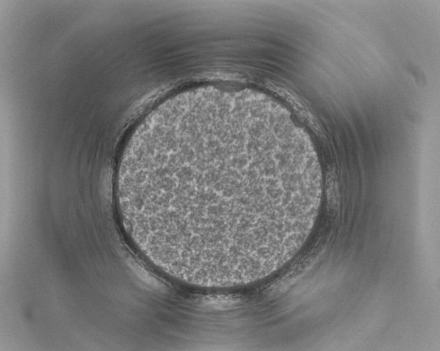 X0000114090445200911161040