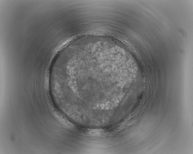 X0000114090446200911161040