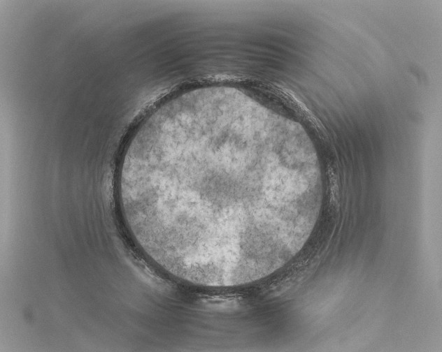 X0000114090447200911161040