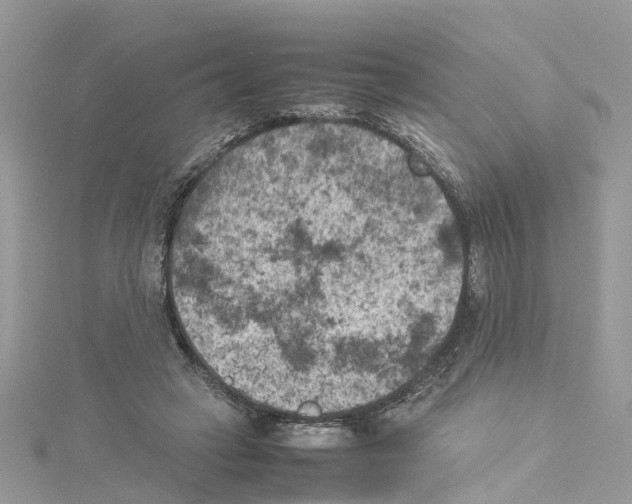 X0000114090449200911161040