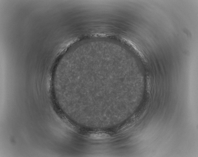 X0000114090451200911161040