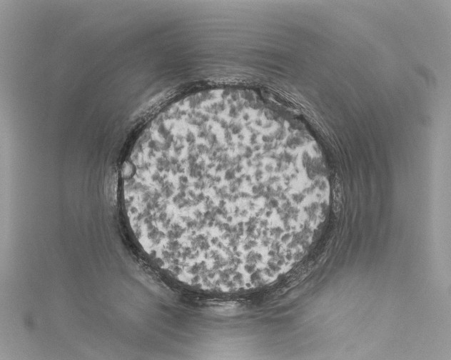 X0000114090454200911161040