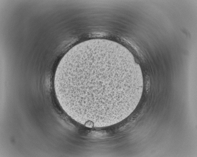 X0000114090455200911161040