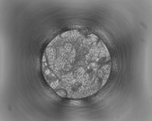 X0000114090457200911161040