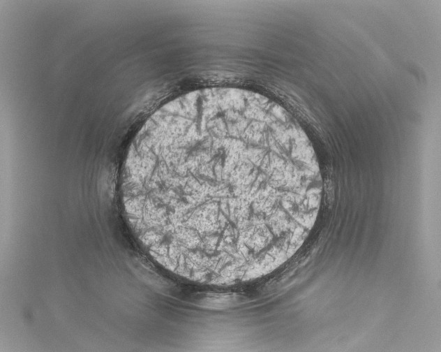 X0000114090458200911161040