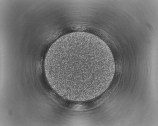 X0000114090460200911161040