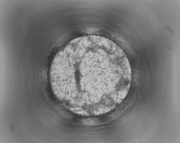 X0000114090461200911161040