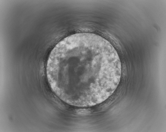 X0000114090465200911161040