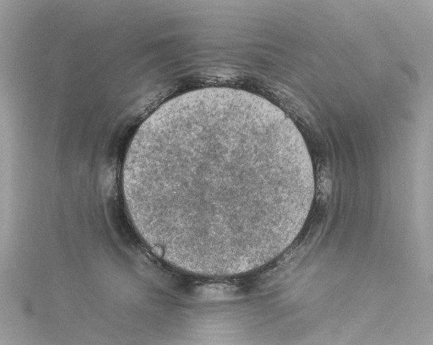 X0000114090468200911161041