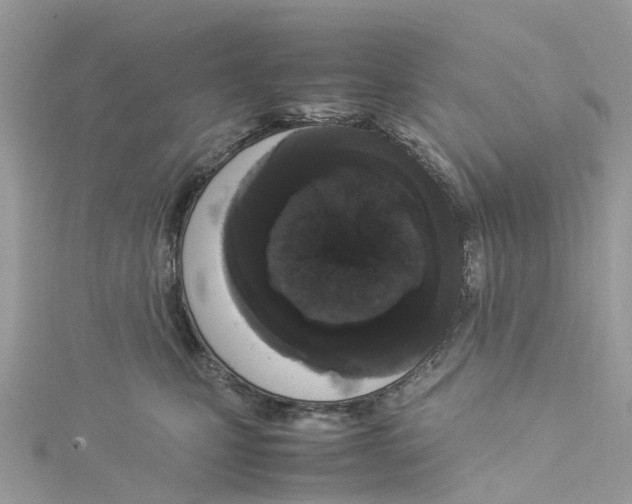 X0000114090471200911161041