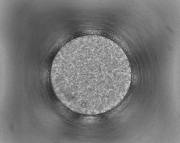 X0000114090473200911161041
