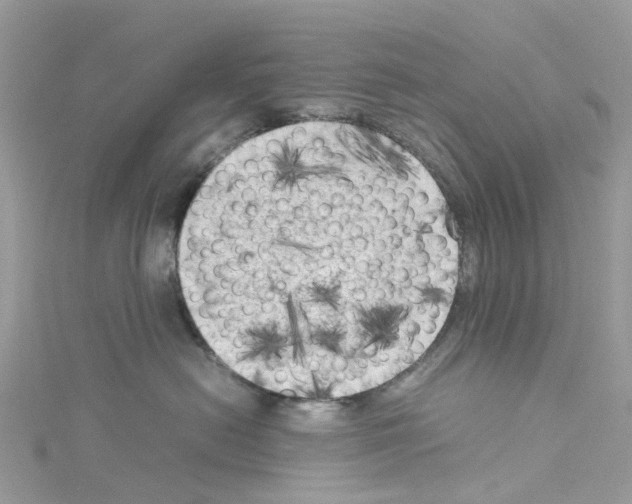 X0000114090478200911161041