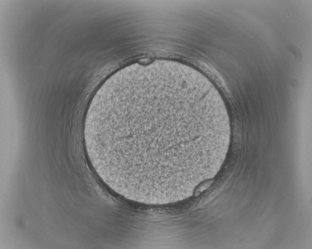 X0000114090481200911161040