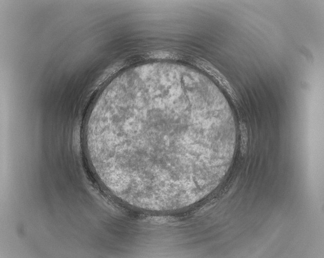 X0000114090482200911161040