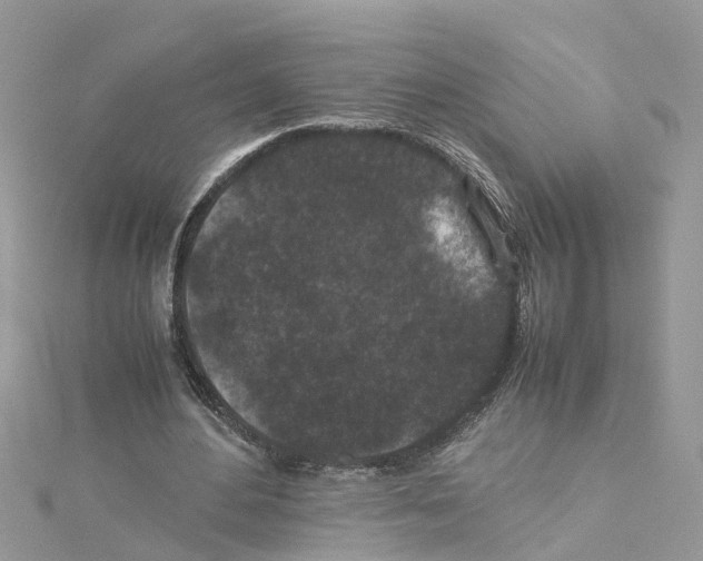 X0000114090484200911161040