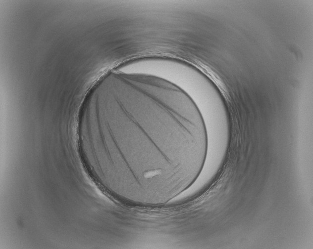 X0000114090485200911161040