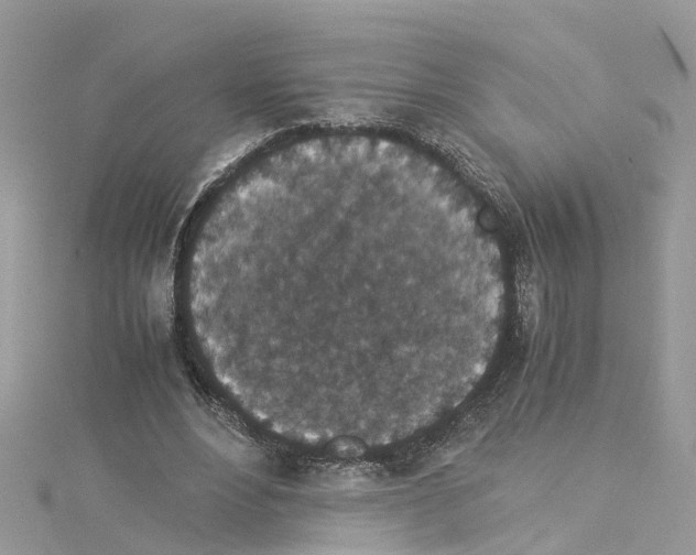 X0000114090488200911161040