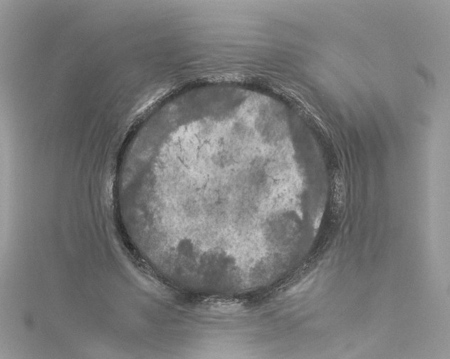 X0000114090491200911161040