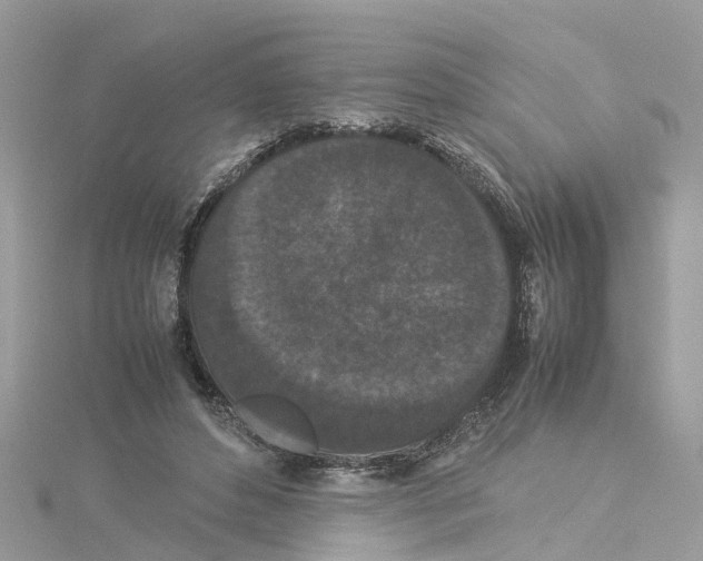 X0000114090496200911161040