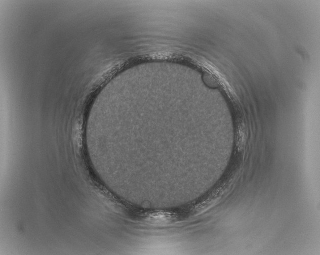 X0000114090497200911161040