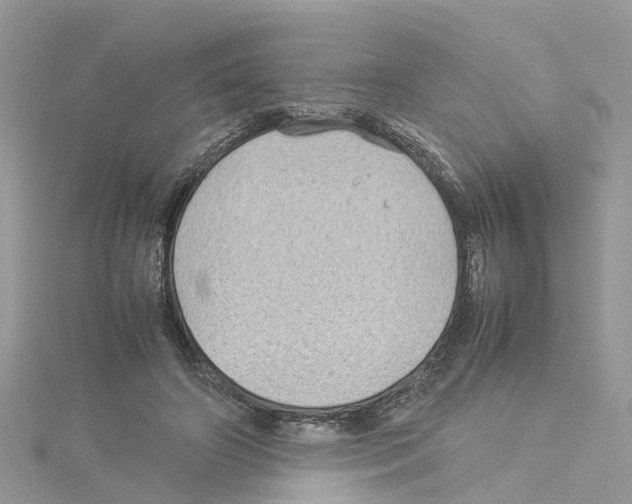 X0000114090498200911161040