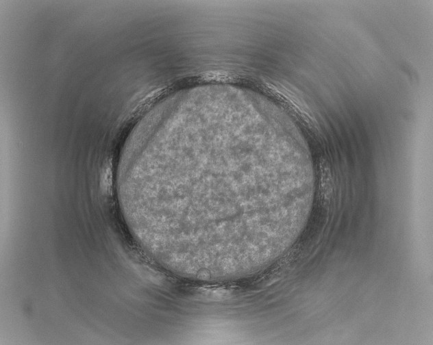 X0000114090502200911161040