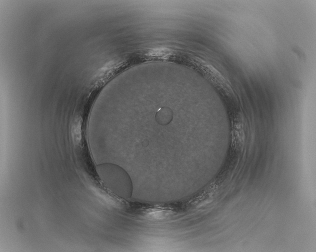 X0000114090504200911161040