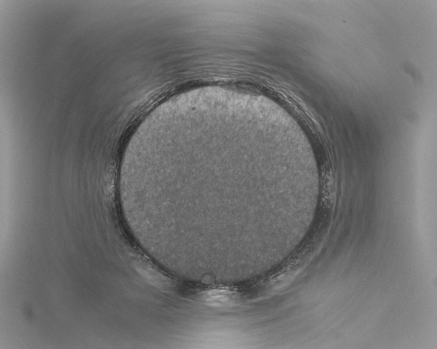 X0000114090505200911161040